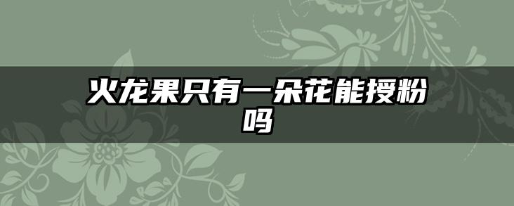 火龙果只有一朵花能授粉吗