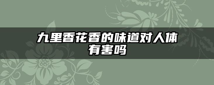 九里香花香的味道对人体有害吗