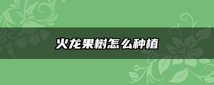 火龙果树怎么种植