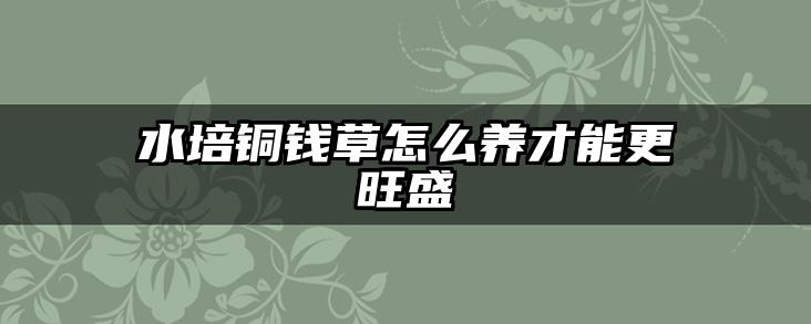 水培铜钱草怎么养才能更旺盛