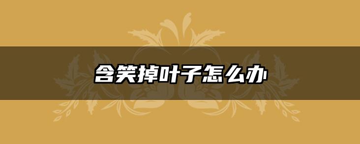 含笑掉叶子怎么办