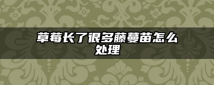 草莓长了很多藤蔓苗怎么处理