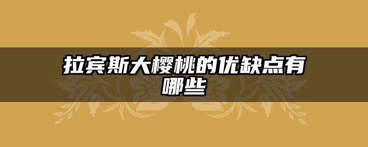拉宾斯大樱桃的优缺点有哪些