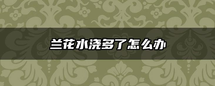 兰花水浇多了怎么办