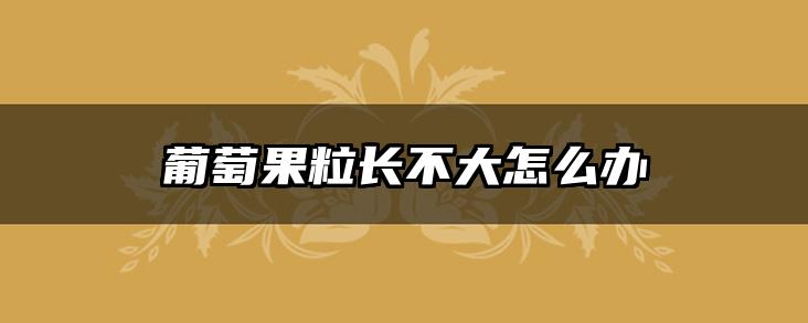 葡萄果粒长不大怎么办