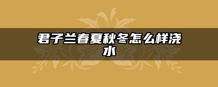 君子兰春夏秋冬怎么样浇水