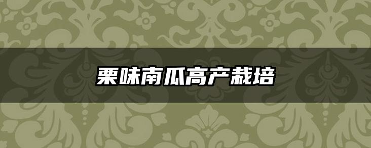 栗味南瓜高产栽培