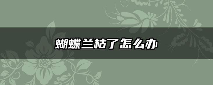 蝴蝶兰枯了怎么办