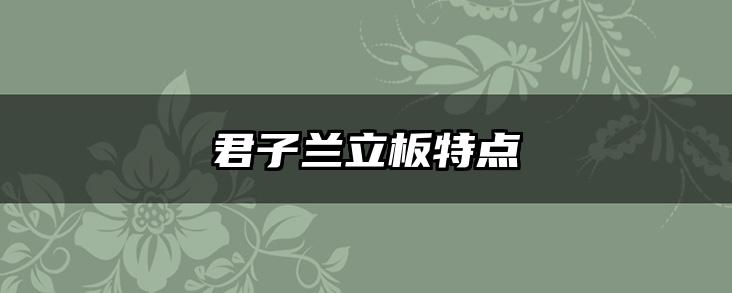 君子兰立板特点