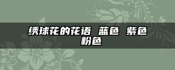 绣球花的花语 蓝色 紫色 粉色