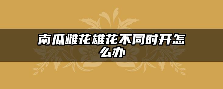 南瓜雌花雄花不同时开怎么办