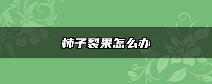 柿子裂果怎么办