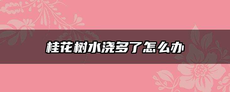 桂花树水浇多了怎么办