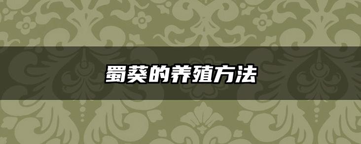蜀葵的养殖方法