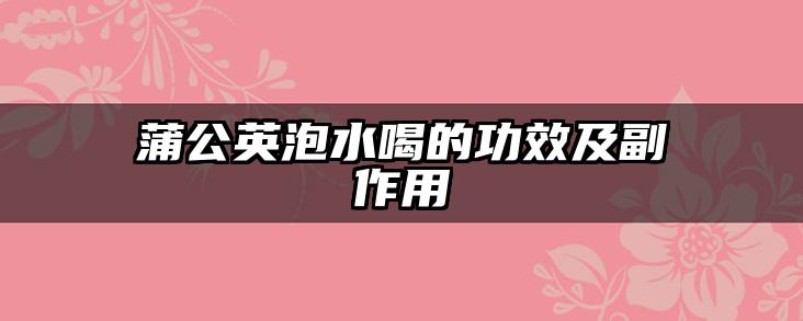 蒲公英泡水喝的功效及副作用