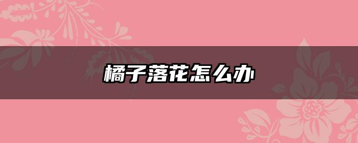 橘子落花怎么办
