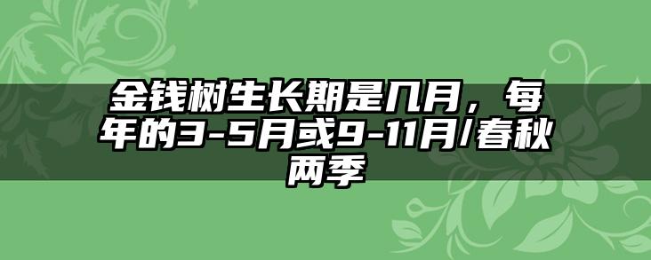 金钱树生长期是几月,每年的3-5月或9-11月/春秋两季