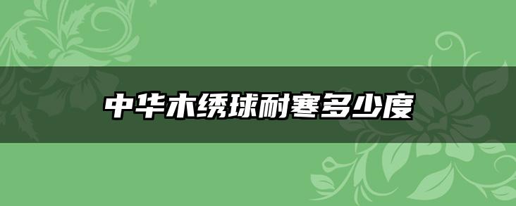 中华木绣球耐寒多少度