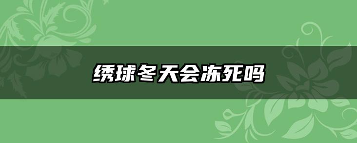 绣球冬天会冻死吗