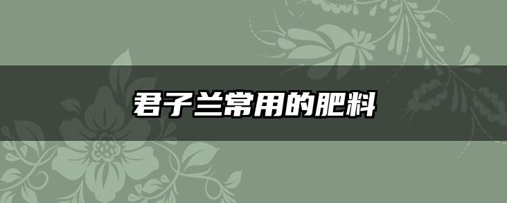 君子兰常用的肥料