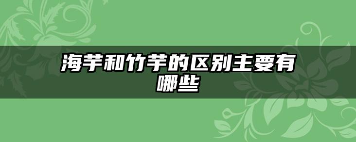 海芋和竹芋的区别主要有哪些