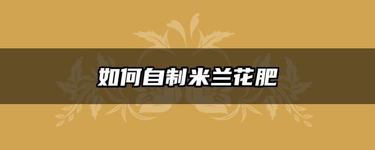如何自制米兰花肥