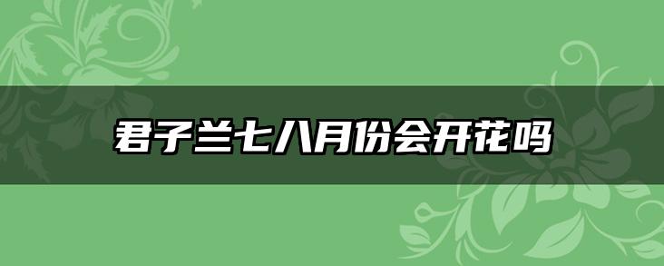 君子兰七八月份会开花吗