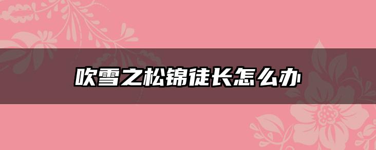 吹雪之松锦徒长怎么办