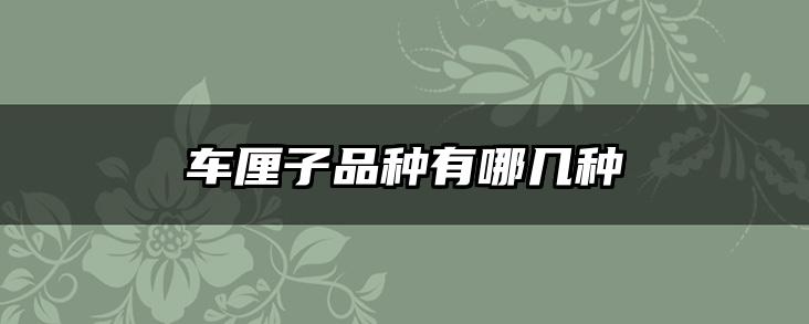 车厘子品种有哪几种
