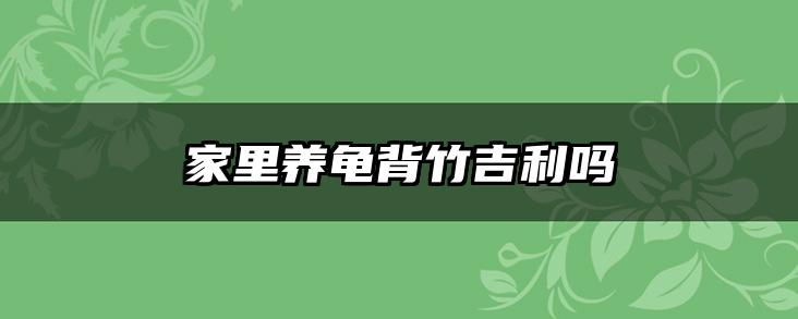 家里养龟背竹吉利吗