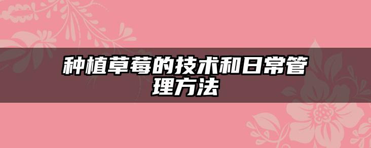 种植草莓的技术和日常管理方法