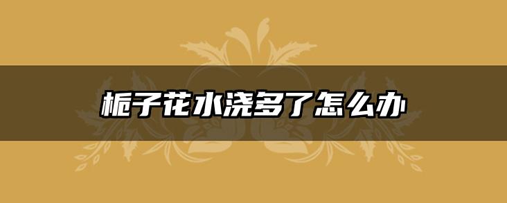 栀子花水浇多了怎么办