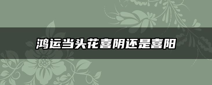 鸿运当头花喜阴还是喜阳