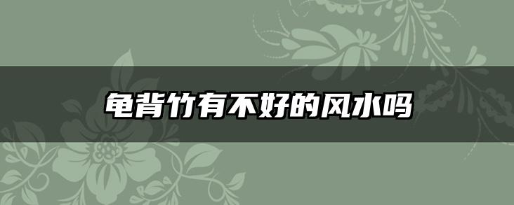 龟背竹有不好的风水吗