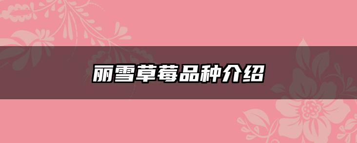 丽雪草莓品种介绍