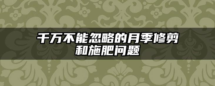 千万不能忽略的月季修剪和施肥问题