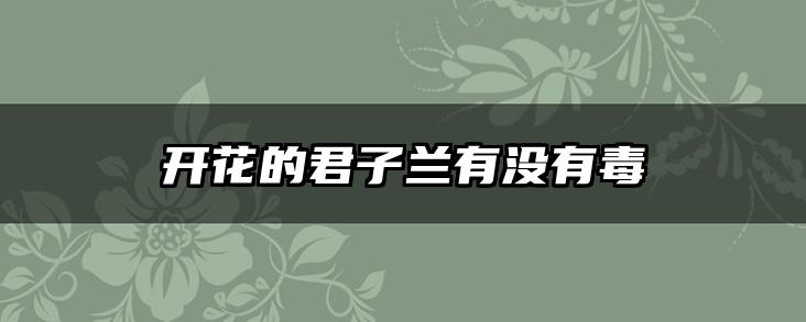 开花的君子兰有没有毒