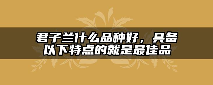 君子兰什么品种好,具备以下特点的就是最佳品