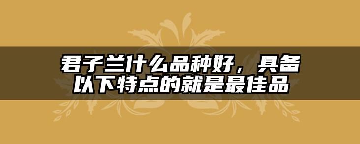 君子兰什么品种好，具备以下特点的就是最佳品