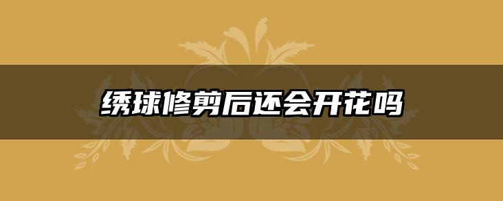 绣球修剪后还会开花吗