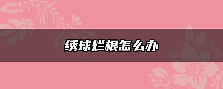 绣球烂根怎么办