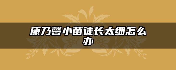 康乃馨小苗徒长太细怎么办