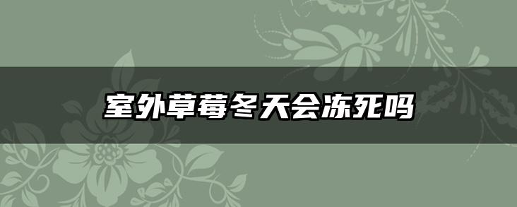 室外草莓冬天会冻死吗