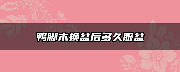 鸭脚木换盆后多久服盆