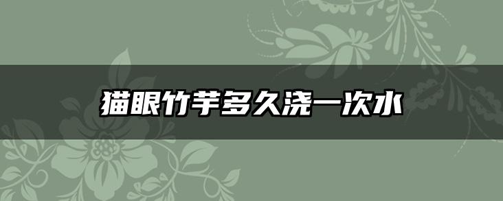 猫眼竹芋多久浇一次水