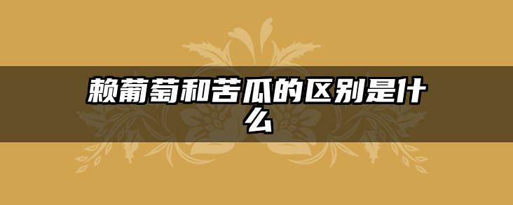 赖葡萄和苦瓜的区别是什么