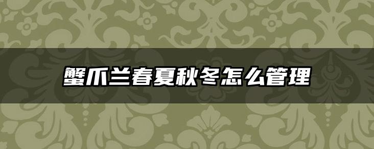 蟹爪兰春夏秋冬怎么管理
