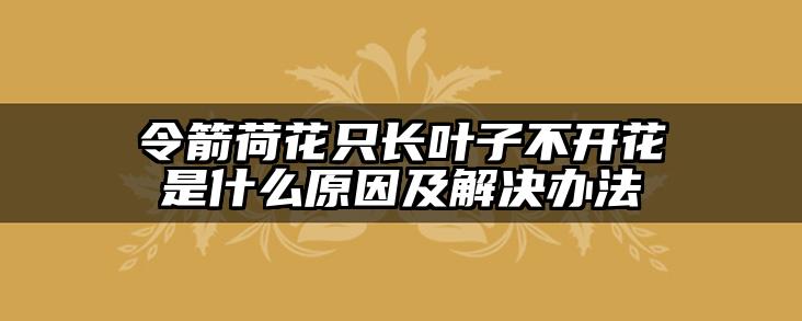 令箭荷花只长叶子不开花是什么原因及解决办法