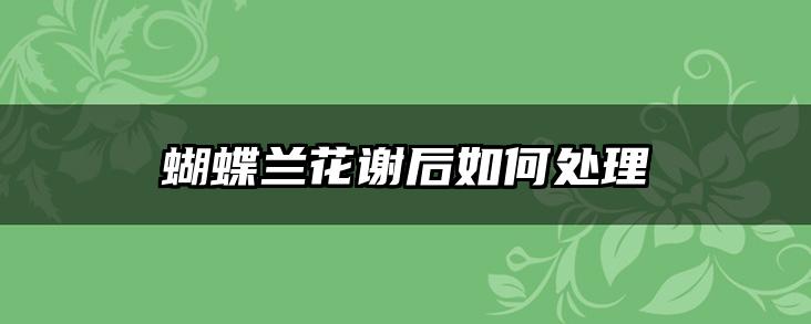 蝴蝶兰花谢后如何处理