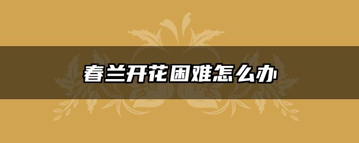 春兰开花困难怎么办